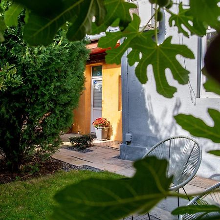 Dulcineea Downtown Garden Studio Timișoara Zewnętrze zdjęcie