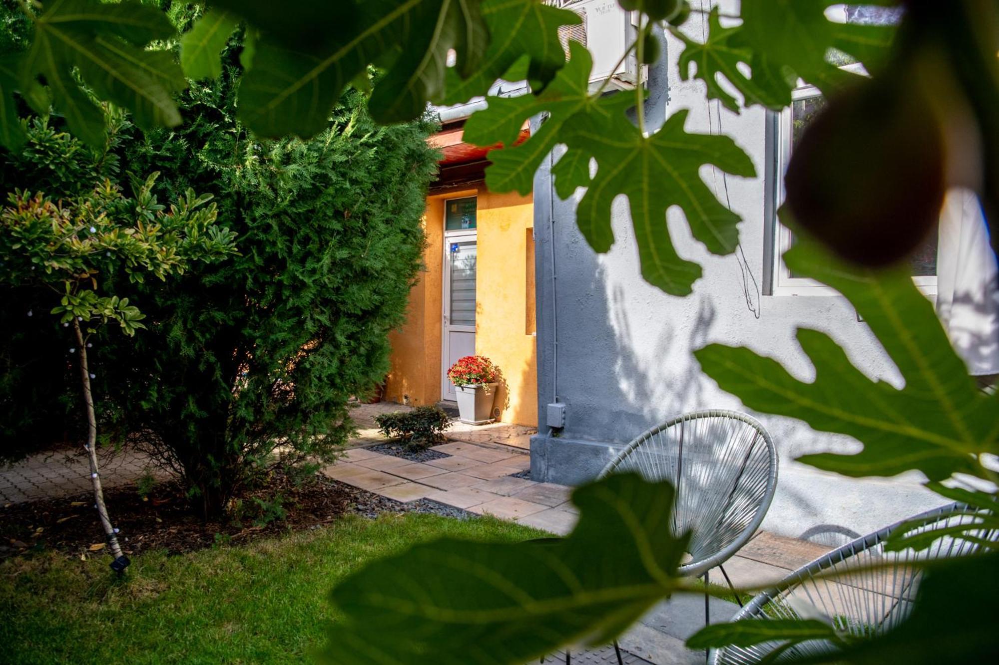 Dulcineea Downtown Garden Studio Timișoara Zewnętrze zdjęcie