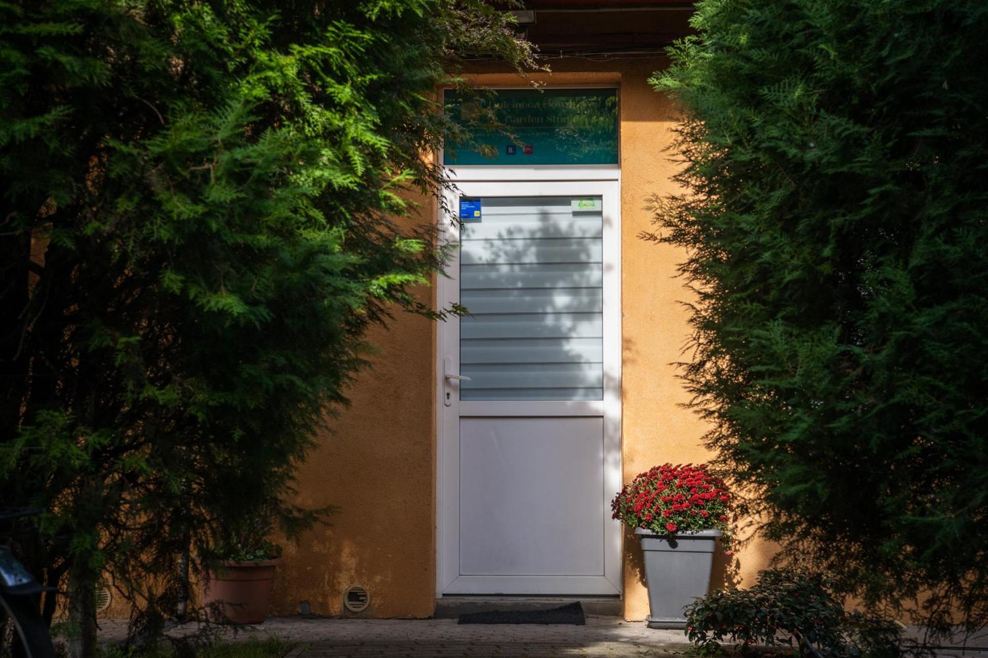 Dulcineea Downtown Garden Studio Timișoara Zewnętrze zdjęcie