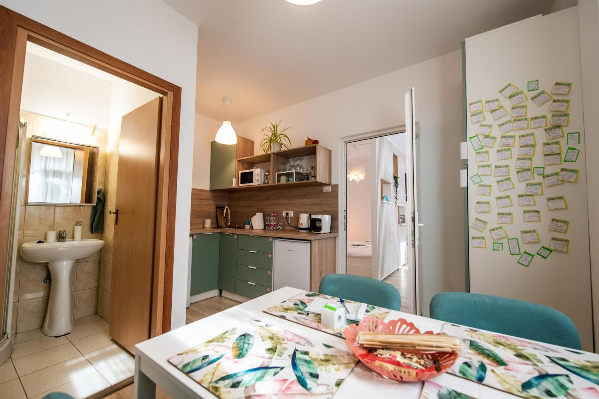 Dulcineea Downtown Garden Studio Timișoara Zewnętrze zdjęcie